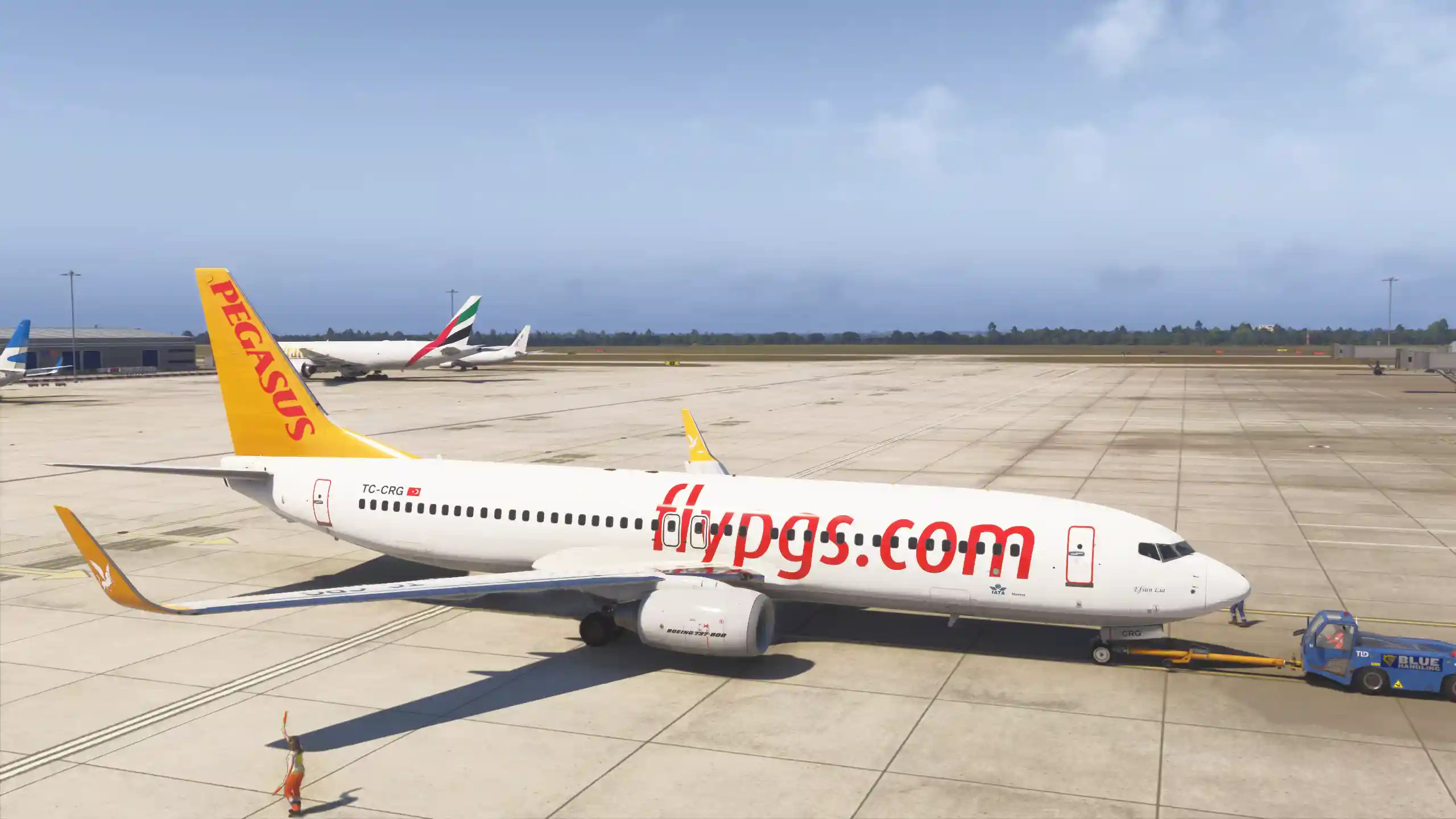 Flight Image
